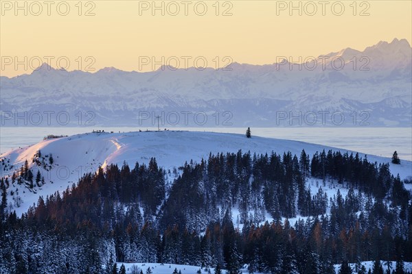 View from the Feldberg over the Herzogenhorn to the Swiss Alps, sunrise, Breisgau-Hochschwarzwald district, Baden-Wuerttemberg, Germany, Europe