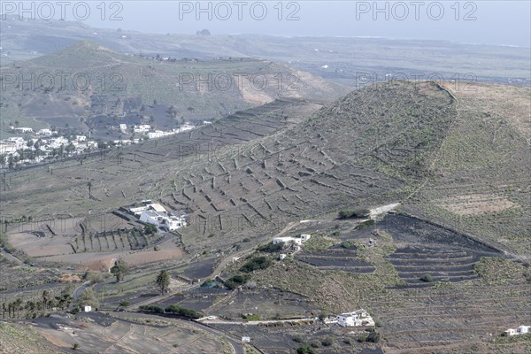 Agriculture terraced landscape seen from the Mirador del Guinate, Haria, Lanzarote, Canary Islands, Spain, Europe