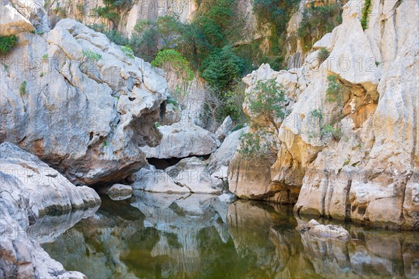 Torrent de Pareis, calm water surface in a riverbed of a mountain stream surrounded by impressive, almost white rock formations and sparse Mediterranean vegetation, reflection, mountains, Serra de Tramuntana, Majorca, Spain, Europe
