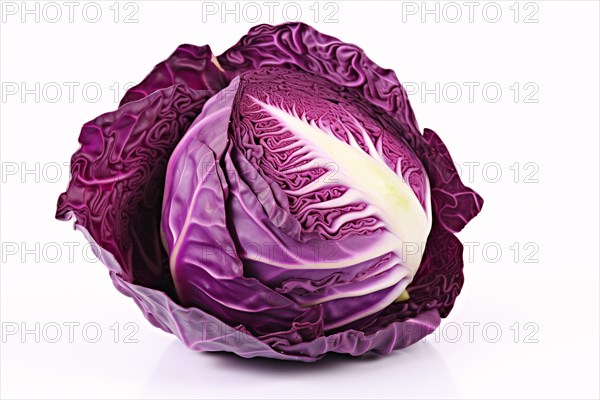 Red cabbage on white background. KI generiert, generiert AI generated