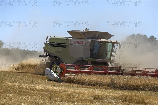 Combine harvester on a barleys (Hordeum vulgare), Mecklenburg-Vorpommern, Germany, Europe