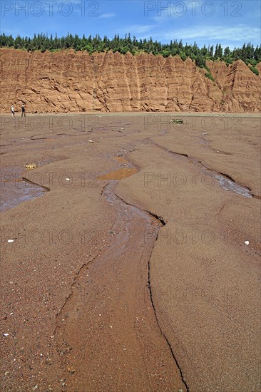 Sandy beach beach at low tide, cliffs, red sandstone, Five Islands Provincial Park, Fundy Bay, Nova Scotia, Canada, North America