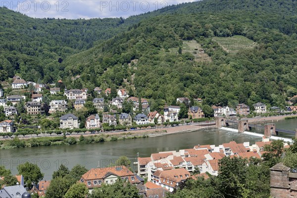 View of a river (Neckar), with a bridge and residential areas on the slope, Heidelberg, Baden-Wuerttemberg, Germany, Europe