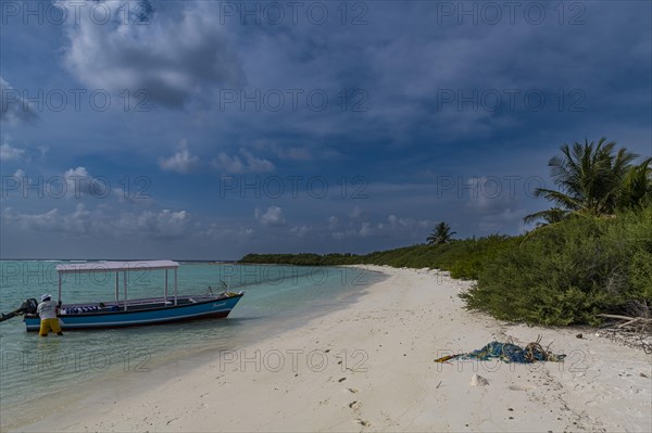 White sand beach, Parli 1 island, Lakshadweep archipelago, Union territory of India