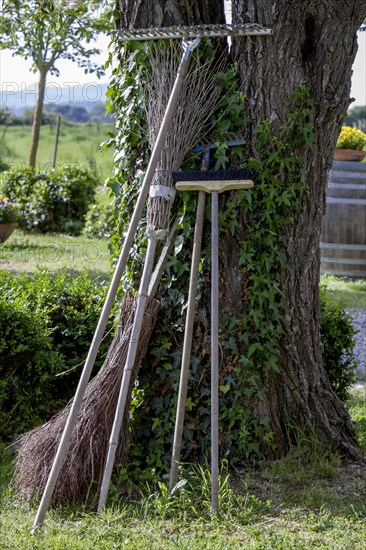 Various garden tools leaning against a tree, Tuscany, Italy, Europe