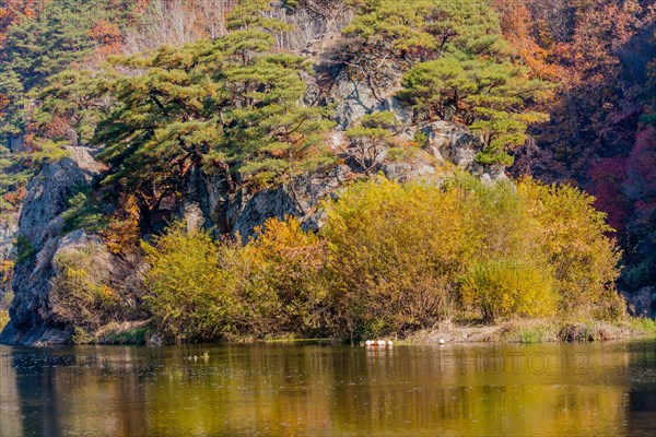 Autumnal trees by the water with cliffs in the background, reflecting on the surface, in South Korea