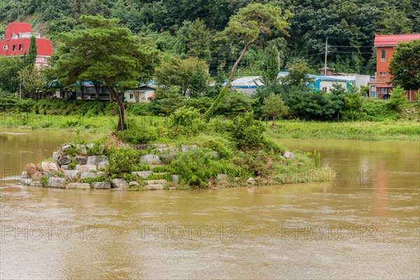 Trees and bushes on small man made island in middle of flooded river after monsoon rains in Daejeon South Korea