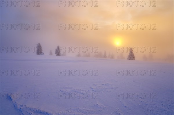 Winter on the Feldberg at sunrise, Breisgau-Hochschwarzwald district, Baden-Wuerttemberg, Germany, Europe