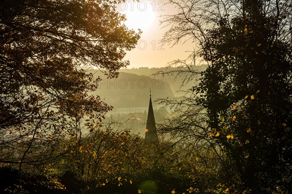 Mystical view of a church tower through foggy, autumnal trees in the backlight, Arrenberg, Elberfeld, Wuppertal, Bergisches Land, North Rhine-Westphalia