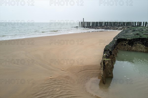 Breakwater on the beach with traces of erosion and a puddle of water next to it, Westkapelle, Zeeland, Netherlands