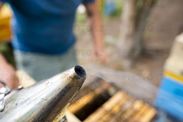 Fantastic beehive producing honey, nature, man and bee, sweet honey, honeycomb, nectar, beekeeping, Poland, Europe