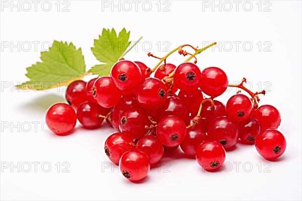 Red currant fruits on white background. KI generiert, generiert AI generated