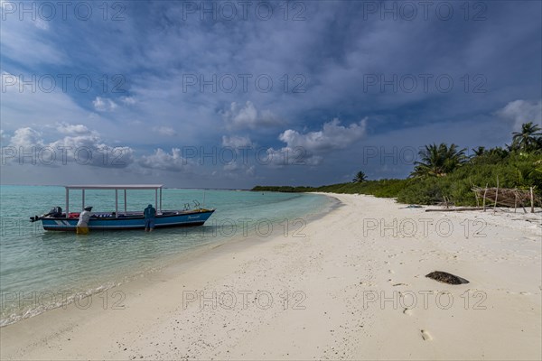 White sand beach, Parli 1 island, Lakshadweep archipelago, Union territory of India