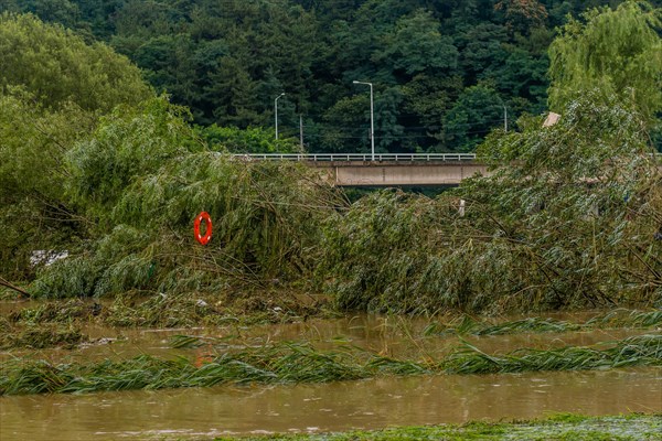 Damaged trees in flooded water with a bridge in the background under an overcast sky, in South Korea