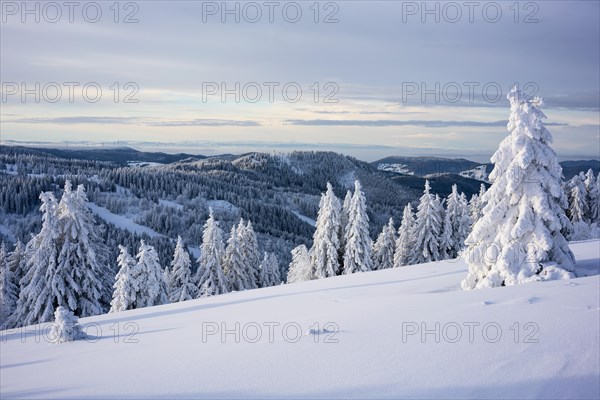 Winter on the Feldberg, Breisgau-Hochschwarzwald district, Baden-Wuerttemberg, Germany, Europe