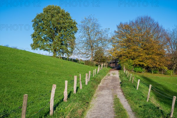 An idyllic path with a wooden fence leads through a green meadow, Schoeller, Wuppertal, Bergisches Land, North Rhine-Westphalia