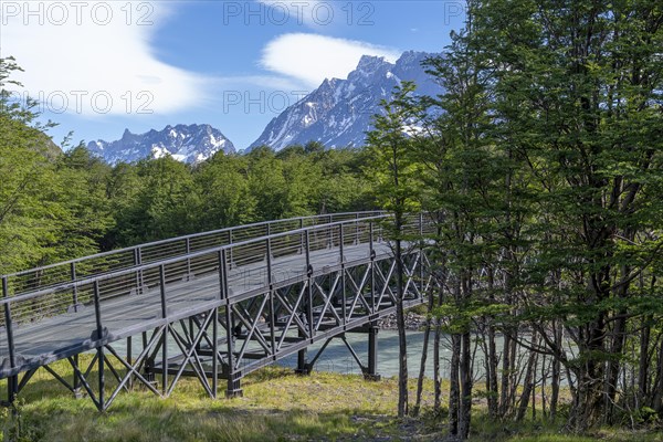 Bridge over a tributary of Lago Grey, Torres del Paine National Park, Parque Nacional Torres del Paine, Cordillera del Paine, Towers of the Blue Sky, Region de Magallanes y de la Antartica Chilena, Ultima Esperanza Province, UNESCO Biosphere Reserve, Patagonia, End of the World, Chile, South America