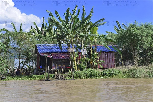 Colourful wooden houses on a quiet riverbank surrounded by lush vegetation, Inle Lake, Myanmar, Asia