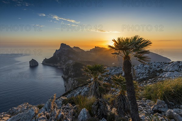 Sunrise, Cape Formentor, Port de Pollenca, Serra de Tramuntana, Majorca, Majorca, Balearic Islands, Spain, Europe