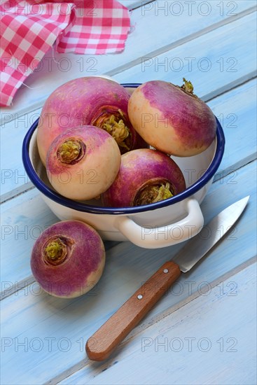 Purple beetroot in pot with knife, Brassica rapa