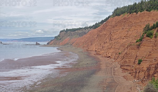 Seashore at low tide, cliffs, red sandstone, Five Islands Provincial Park, Fundy Bay, Nova Scotia, Canada, North America
