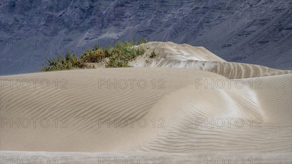 Dune landscape, dunes, Playa de Famara, Lanzarote, Canary Islands, Spain, Europe