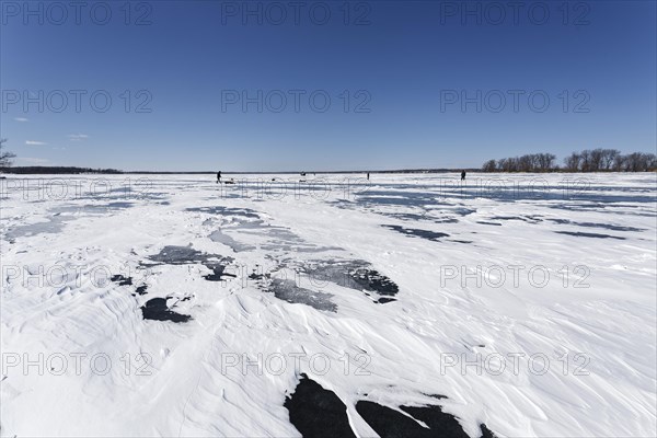 Winter, snow drifts on frozen riverscape, Saint Lawrence River, Province of Quebec, Canada, North America