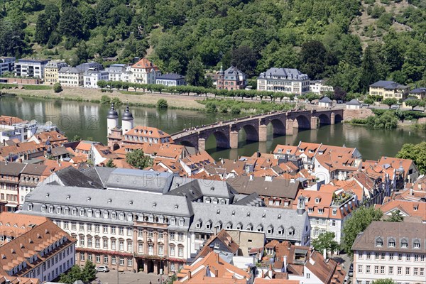 Historic stone bridge over a river (Neckar), with neighbouring riverside houses, Heidelberg, Baden-Wuerttemberg, Germany, Europe