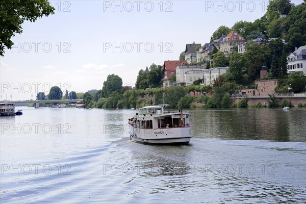 Boat on a river (Neckar), with green bank and cloudy sky, Heidelberg, Baden-Wuerttemberg, Germany, Europe