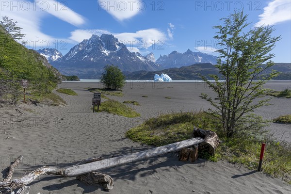 Shore area of Lago Grey, Torres del Paine National Park, Parque Nacional Torres del Paine, Cordillera del Paine, Towers of the Blue Sky, Region de Magallanes y de la Antartica Chilena, Ultima Esperanza Province, UNESCO Biosphere Reserve, Patagonia, End of the World, Chile, South America