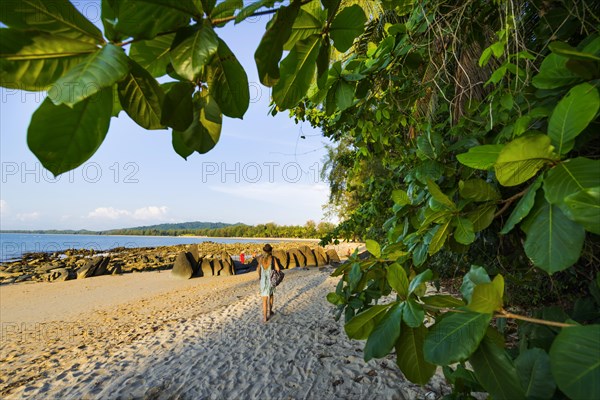 Walk at the beach landscape at Silent beach in Khao lak, beach, sandy beach, panorama, beach panorama, stony, rocks, beach holiday, holiday, travel, tourism, sea, seascape, coastal landscape, landscape, rocky, stony, ocean, beach holiday, flora, tree, palm, palm beach, forest, nature, lonely, dream beach, beautiful, weather, climate, sunny, sun, paradise, beach paradise, Thailand, Asia