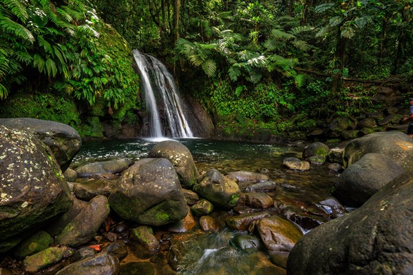 Pure nature, a waterfall with a pool in the forest. The Ecrevisses waterfalls, Cascade aux ecrevisses on Guadeloupe, in the Caribbean. French Antilles, France, Europe