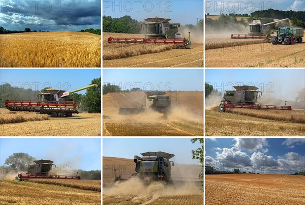 Combine harvester on a barleys (Hordeum vulgare), Mecklenburg-Vorpommern, Germany, Europe