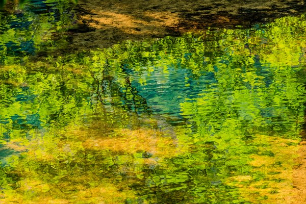 Reflection of a tree and its leaves in a shallow stream on a bright sunny day in South Korea