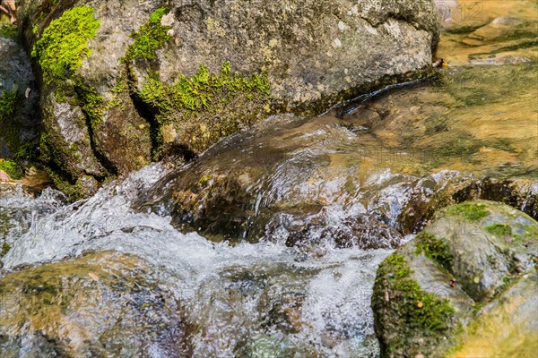 Small water fall cascading down rocks in the middle of a small mountain stream in Guam