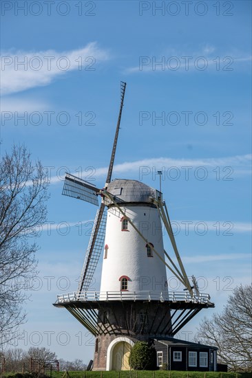 Windmill with white and black details on a green meadow, Veere, Zeeland, Netherlands