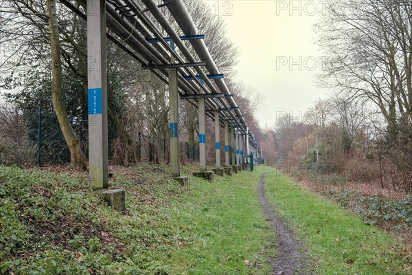 Pipelines for industry run through a forest with bare trees on a cloudy day, Bottrop, North Rhine-Westphalia, Germany, Europe