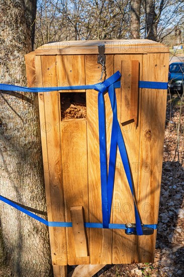 Wooden box as an insect hotel to help beetles on a tree, Sweden, Europe