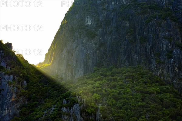 Sunrise at Maya Bay, jungle, sun, sunbeam, forest, nature, natural landscape, limestone rocks, morning sun, tourism, holiday, journey, emotion, calm, silence, atmosphere, green, environment, climate, climate change, weather, sunny, light, ray, ray of light, Thailand, Asia