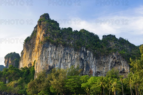 Limestone cliffs at Railay Beach, limestone, limestone cliffs, travel, holiday, tourism, nature, natural landscape, Andaman Sea, climbing cliffs, mountain, rock, rock, bizarre, sun, sunny, tropical, tropical, lagoon, sea, ocean, palm trees, holiday paradise, Siam, paradise, Asian, landscape, Krabi, Thailand, Asia