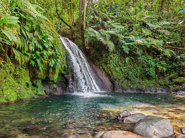 Pure nature, a waterfall with a pool in the forest. The Ecrevisses waterfalls, Cascade aux ecrevisses on Guadeloupe, in the Caribbean. French Antilles, France, Europe