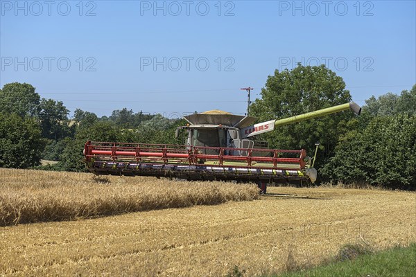 Combine harvester on a barleys (Hordeum vulgare), Mecklenburg-Vorpommern, Germany, Europe
