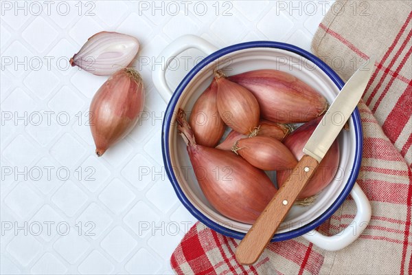 Shallots in peel, Allium cepa