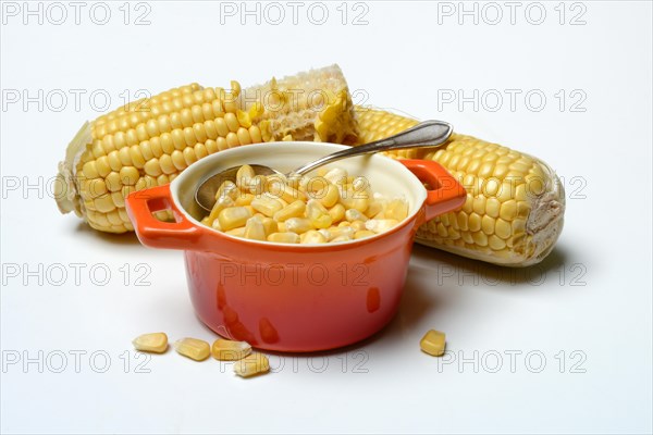 Fresh maize kernels in pots and cobs, corn (Zea mays)