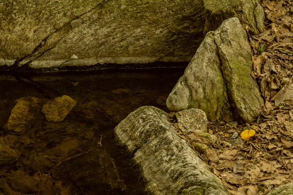 Pool of still water surrounded by large boulders and leaves and stone wall in the background in Namhae, South Korea, Asia