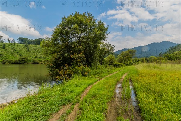 Tire tracks in meadow beside lake with mountains and blue cloudy sky in background in South Korea