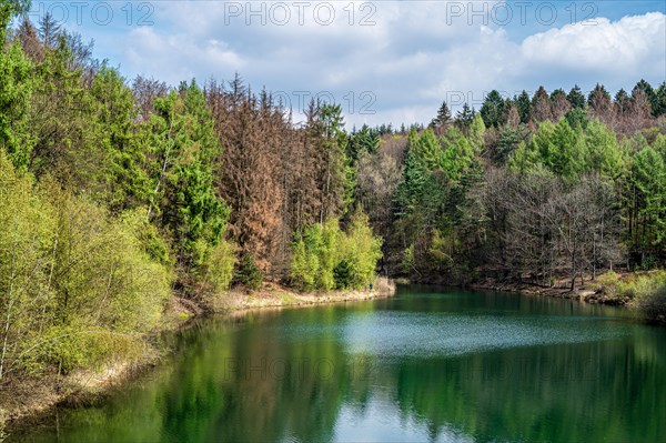 An idyllic forest lake surrounded by lush greenery and a peaceful atmosphere, Ronsdorfer Talsperre, Ronsdorf, Wuppertal, Bergisches Land, North Rhine-Westphalia