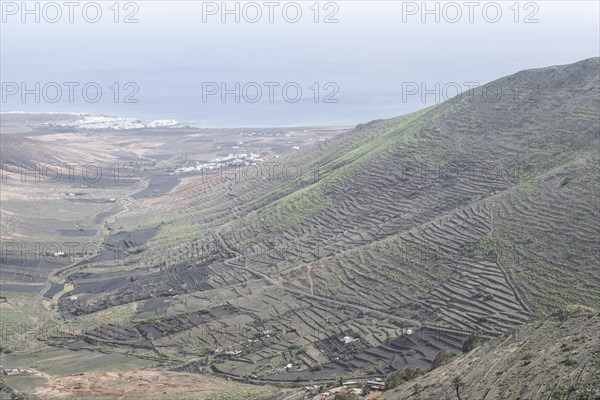 Agriculture terraced landscape seen from the Mirador del Guinate, Haria, Lanzarote, Canary Islands, Spain, Europe