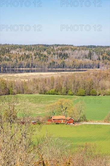 View of beautiful landscape with a small red house in a field and a lake by a forest in the spring sun, Sweden, Europe