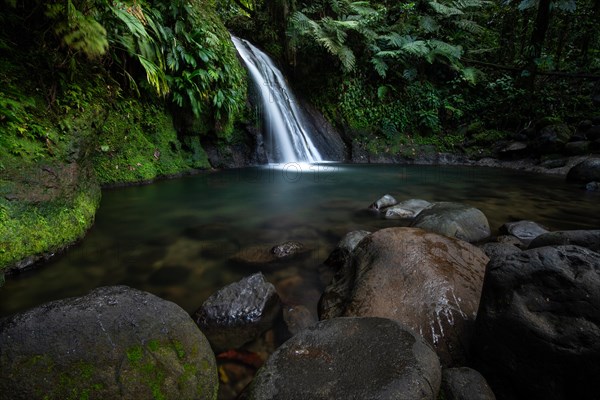 Pure nature, a waterfall with a pool in the forest. The Ecrevisses waterfalls, Cascade aux ecrevisses on Guadeloupe, in the Caribbean. French Antilles, France, Europe